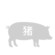 pig