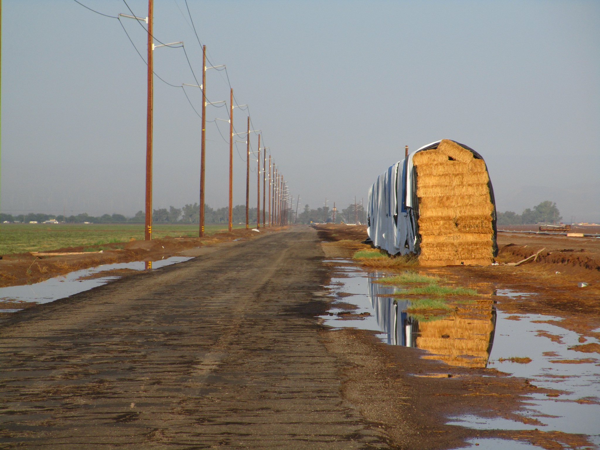 Thunder storm in Imperial Valley 帝王谷雷雨